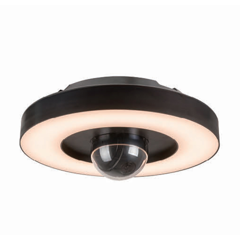 Camera ceiling security light 8005