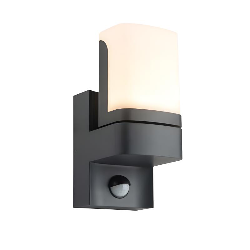 Rotatable infrared induction outdoor wall light 5941-PIR