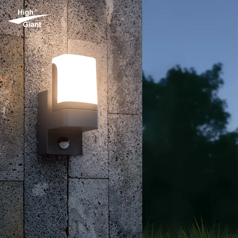 Rotatable infrared induction outdoor wall light 5941-PIR