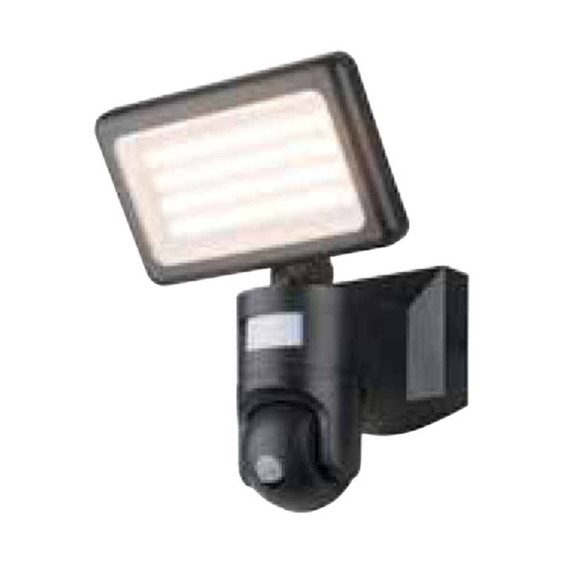 Camera security light 8001